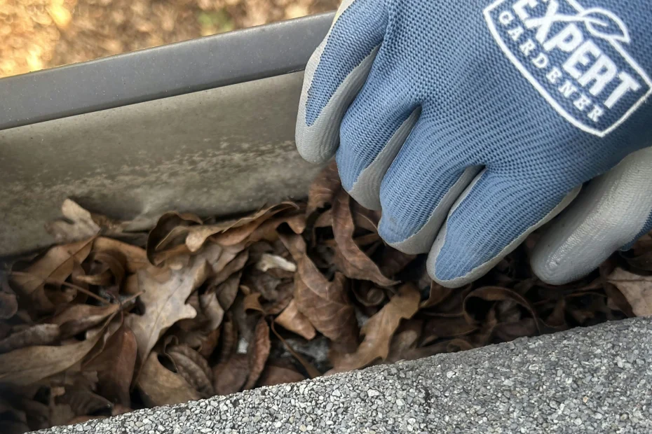 Gutter Cleaning Oak Ridge